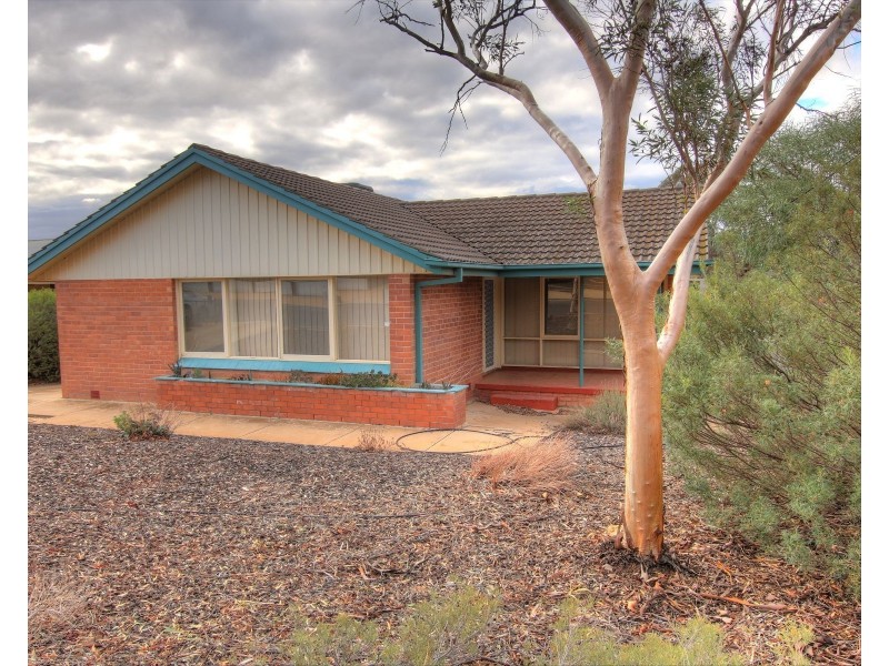 62 Drabsch Street, Loxton SA 5333