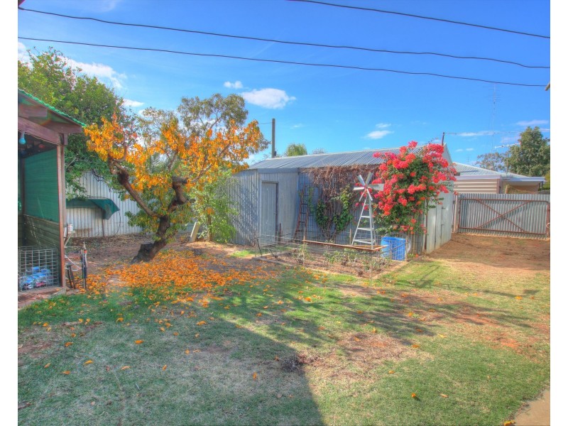 66 Zante Road, Berri SA 5343