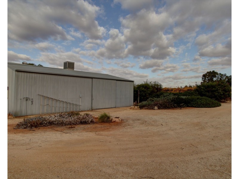 1725 Bookpurnong Road, Loxton SA 5333