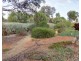 1725 Bookpurnong Road, Loxton SA 5333