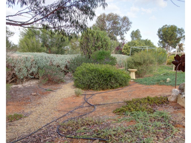 1725 Bookpurnong Road, Loxton SA 5333