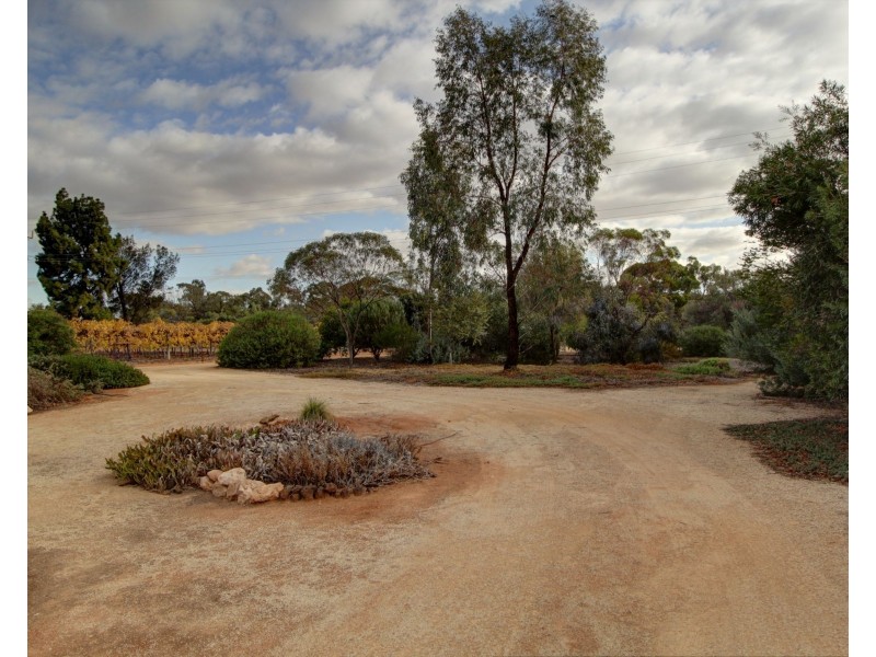 1725 Bookpurnong Road, Loxton SA 5333