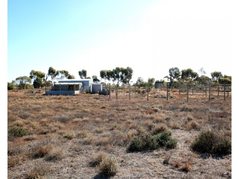 690A Thiele Road, Loveday SA 5345