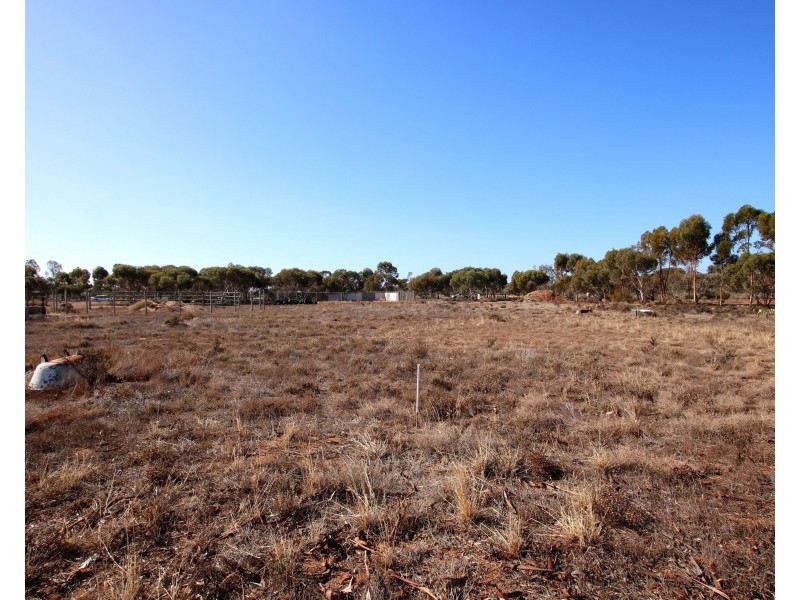 690A Thiele Road, Loveday SA 5345