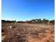 690A Thiele Road, Loveday SA 5345