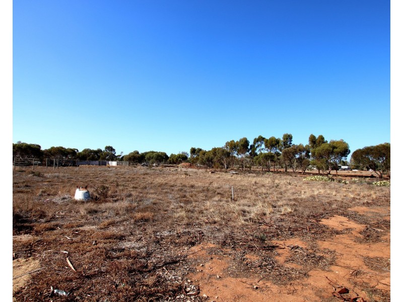 690A Thiele Road, Loveday SA 5345