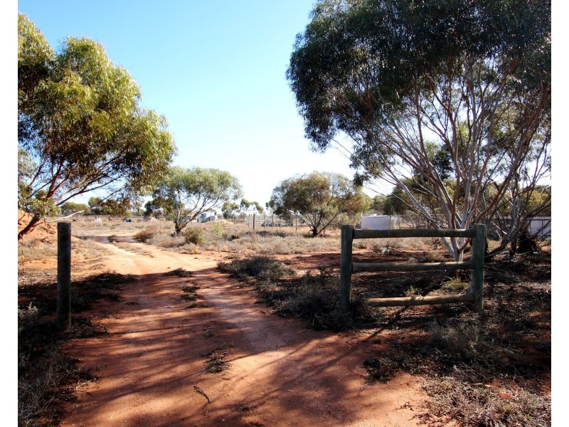 690A Thiele Road, Loveday SA 5345