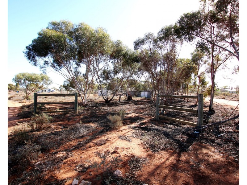 690A Thiele Road, Loveday SA 5345