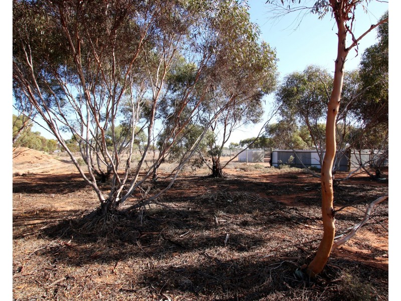 690A Thiele Road, Loveday SA 5345