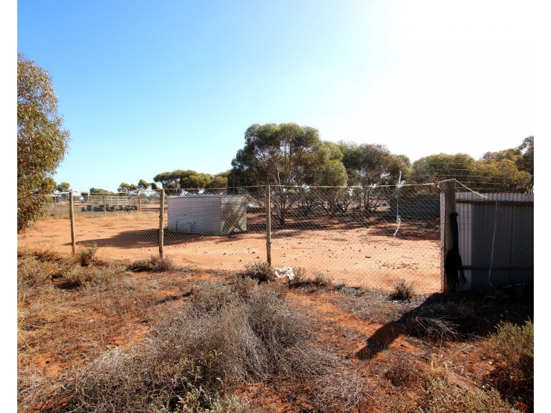 690A Thiele Road, Loveday SA 5345