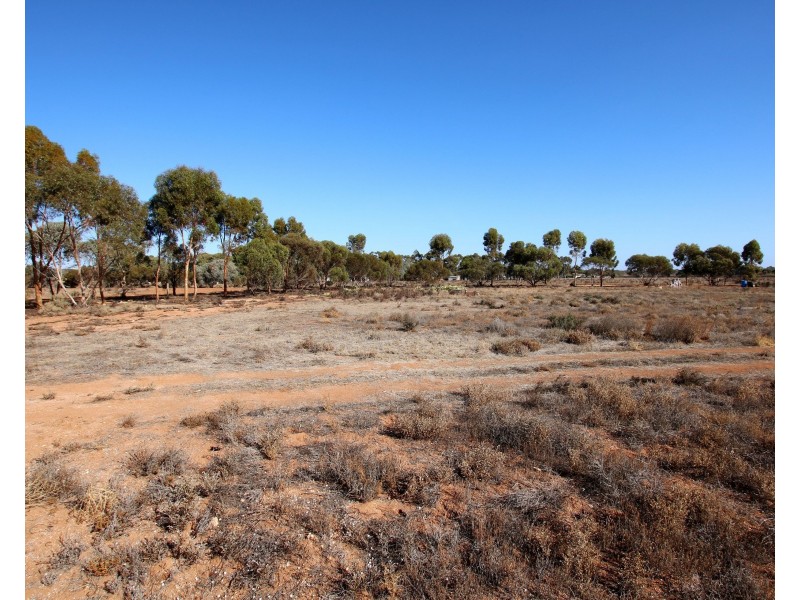 690A Thiele Road, Loveday SA 5345