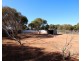 690A Thiele Road, Loveday SA 5345