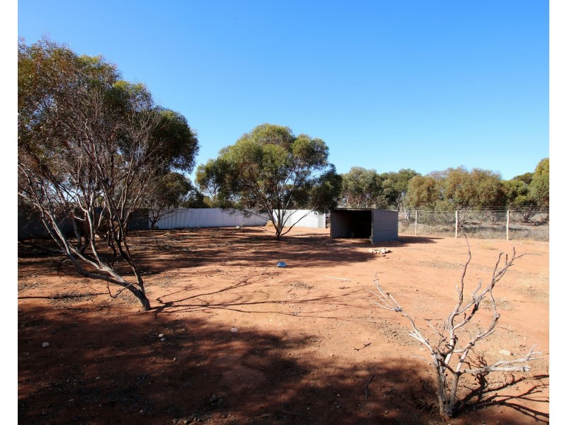 690A Thiele Road, Loveday SA 5345