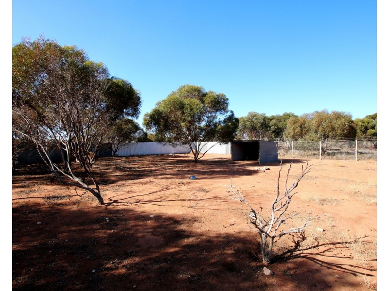 690A Thiele Road, Loveday SA 5345