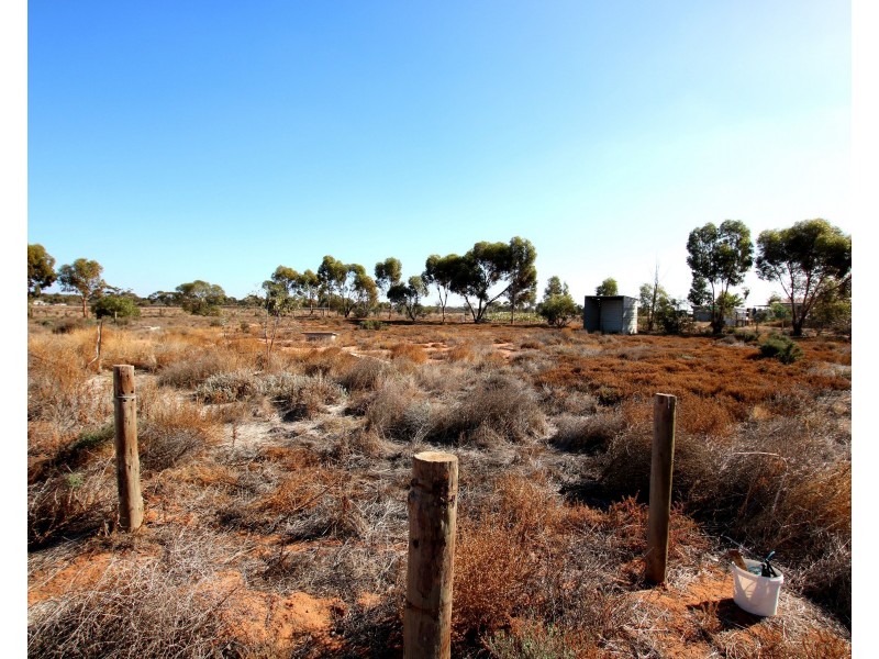 690A Thiele Road, Loveday SA 5345