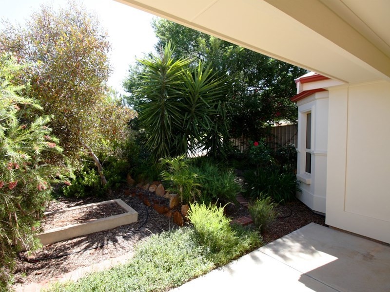 16 McLean Street, Berri SA 5343