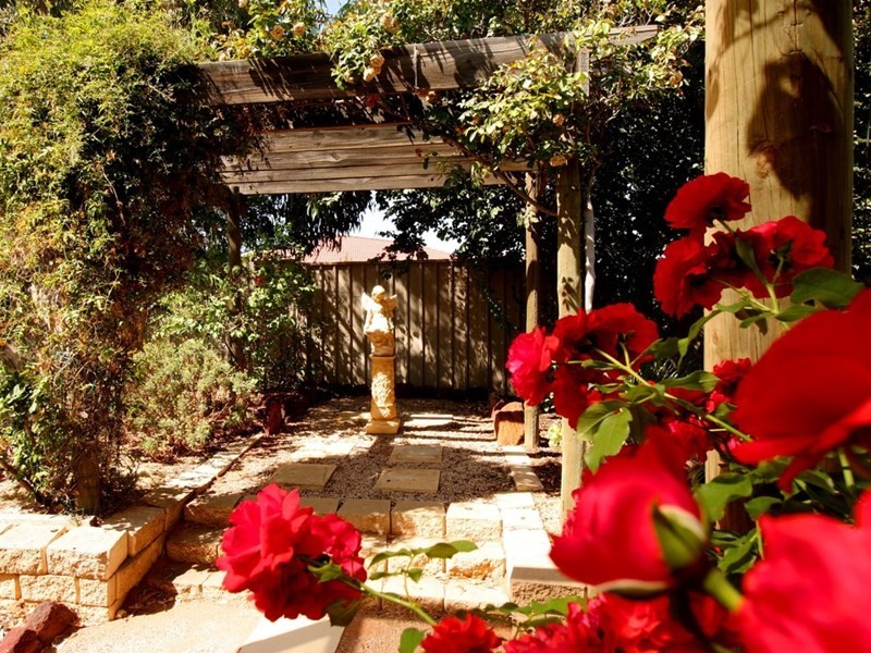 16 McLean Street, Berri SA 5343