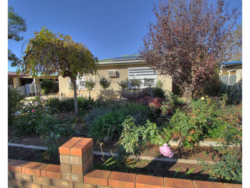22 Gilbert Street, Berri SA 5343