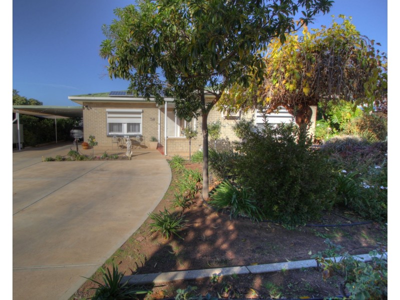 22 Gilbert Street, Berri SA 5343