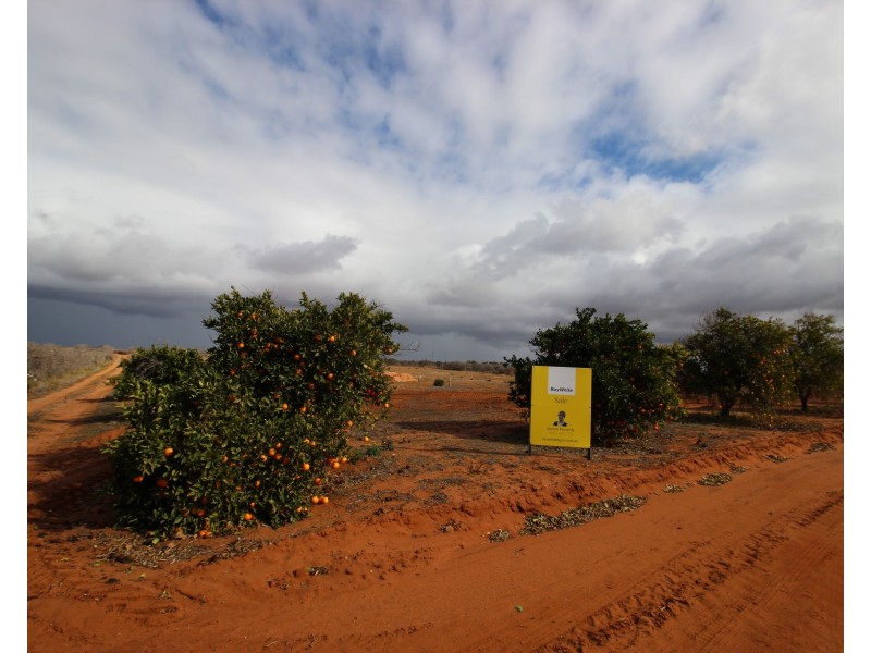 130 Barclay Road, Waikerie SA 5330