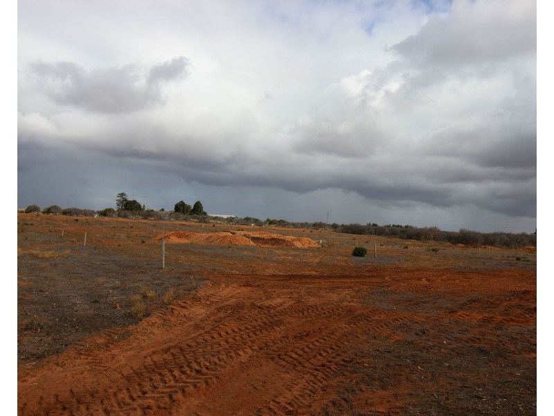 130 Barclay Road, Waikerie SA 5330