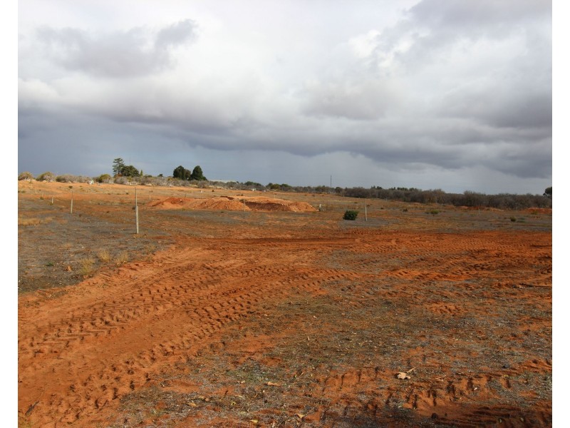 130 Barclay Road, Waikerie SA 5330