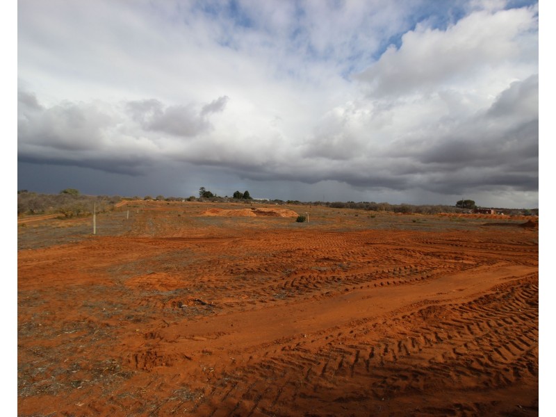 130 Barclay Road, Waikerie SA 5330
