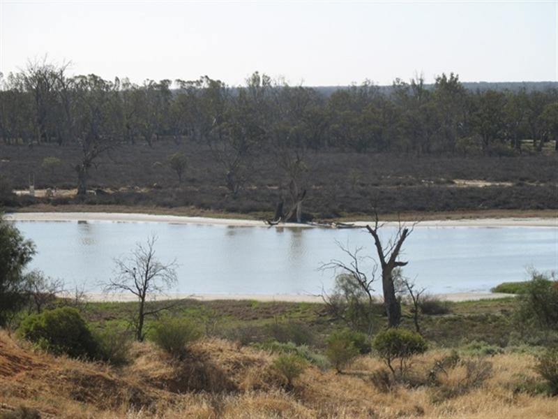 12 Stasinowsky Court, Loxton SA 5333