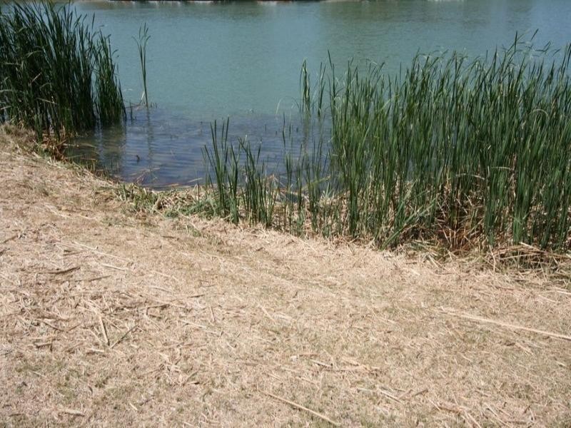 Lot 18 Barker Road, Morgan SA 5320