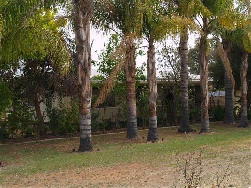 Lot 48 Playford Road, Waikerie SA 5330