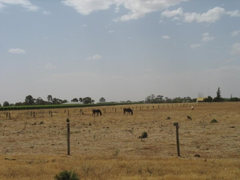 Sec 644 Whitelaw Road, Monash SA 5342