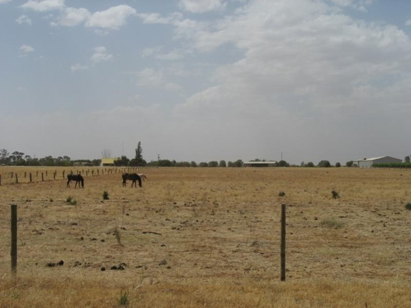 Sec 644 Whitelaw Road, Monash SA 5342