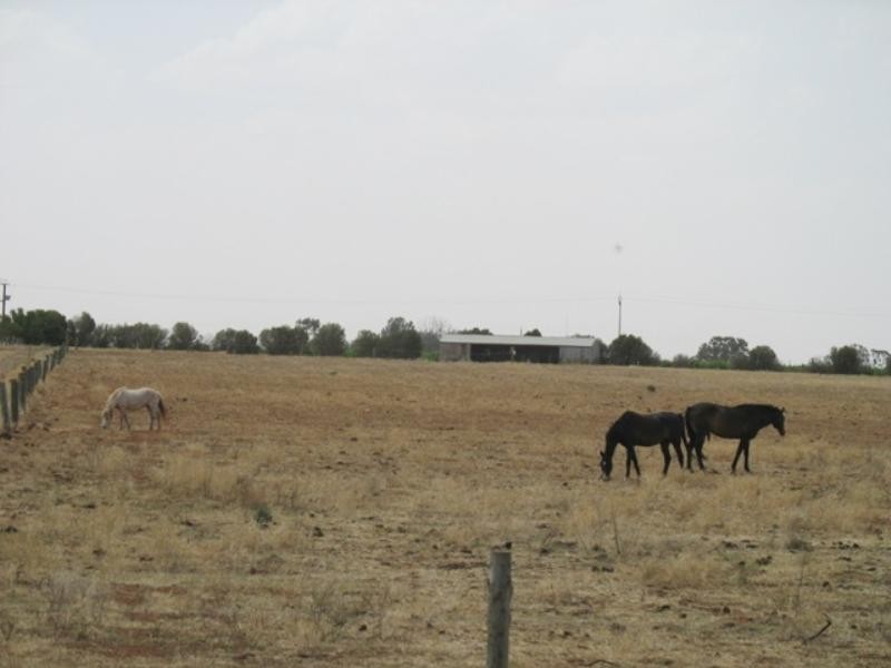 Sec 644 Whitelaw Road, Monash SA 5342