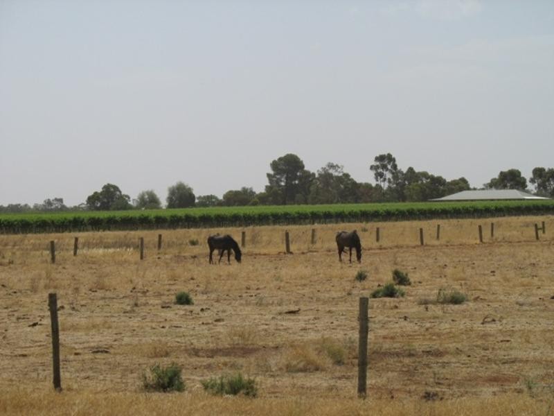 Sec 644 Whitelaw Road, Monash SA 5342