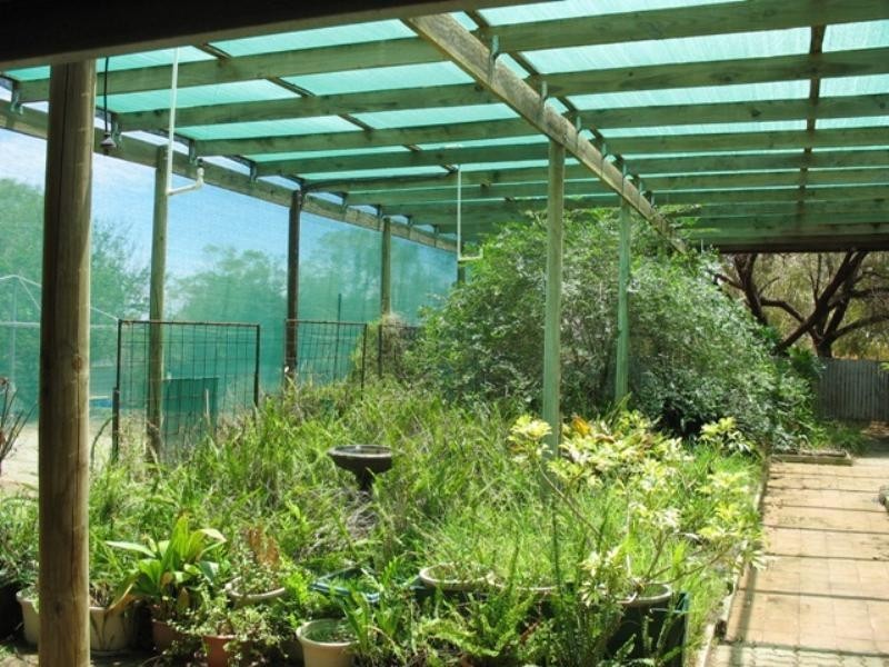 11 Bruce Road, Barmera SA 5345