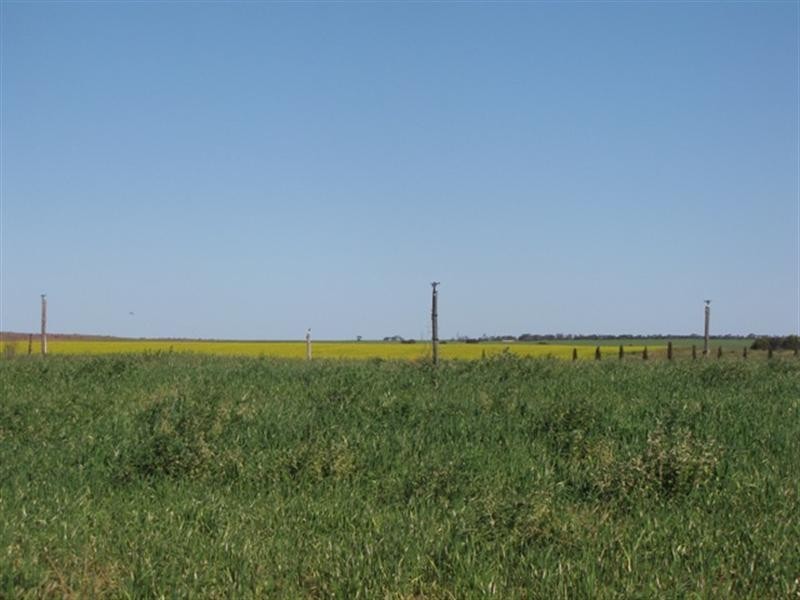 Sec 812 Middleton Road, Loxton SA 5333