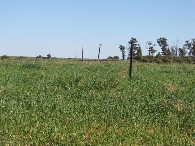 Sec 812 Middleton Road, Loxton SA 5333