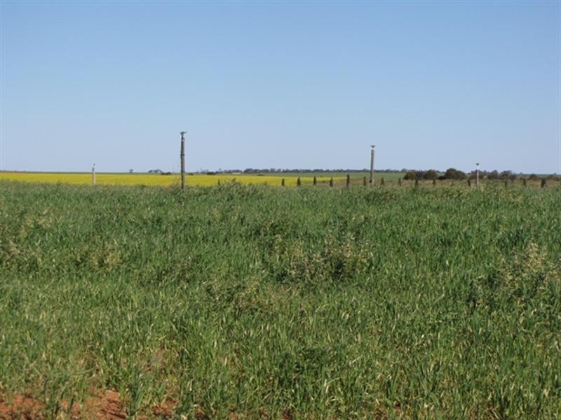 Sec 812 Middleton Road, Loxton SA 5333