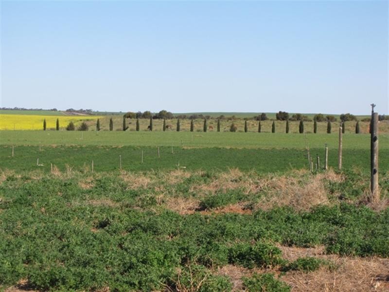 Sec 812 Middleton Road, Loxton SA 5333