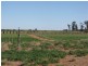 Sec 812 Middleton Road, Loxton SA 5333
