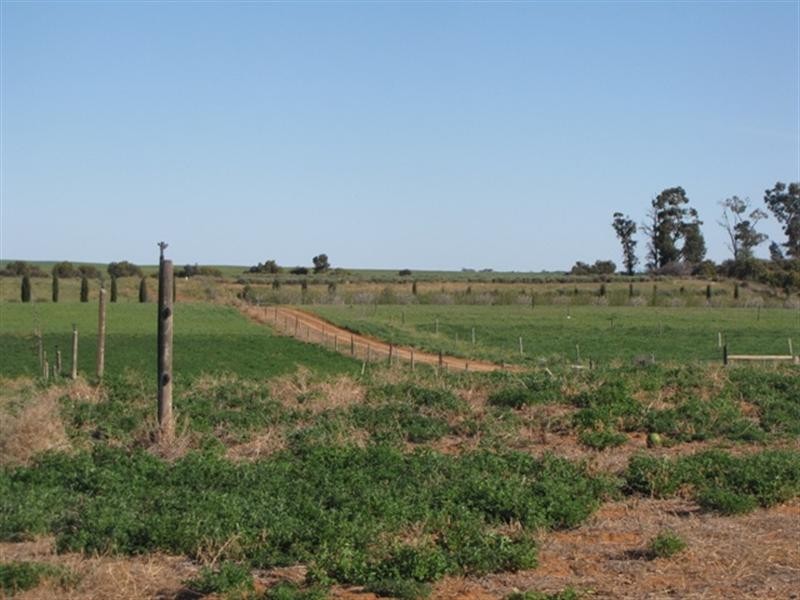 Sec 812 Middleton Road, Loxton SA 5333