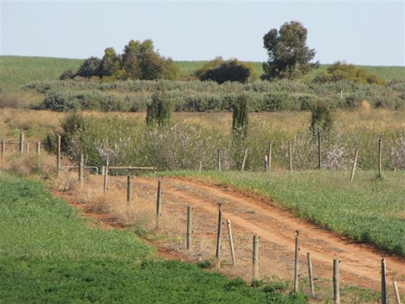 Sec 812 Middleton Road, Loxton SA 5333
