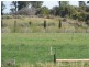 Sec 812 Middleton Road, Loxton SA 5333