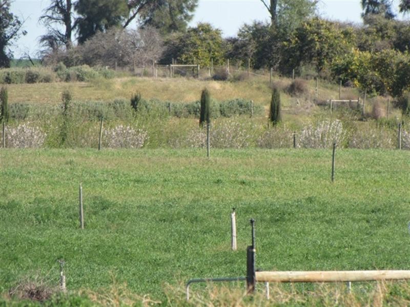 Sec 812 Middleton Road, Loxton SA 5333