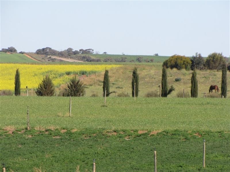 Sec 812 Middleton Road, Loxton SA 5333