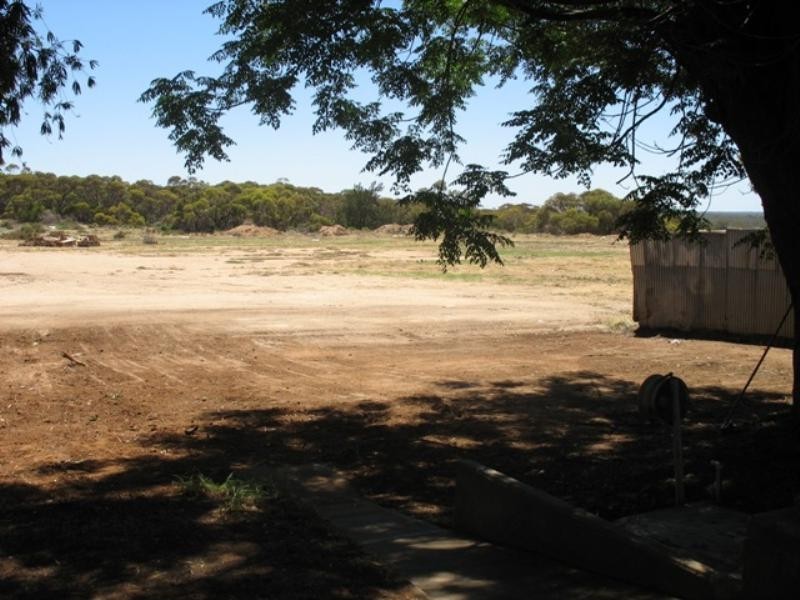 Lot 1159 Riverview Drive, Berri SA 5343
