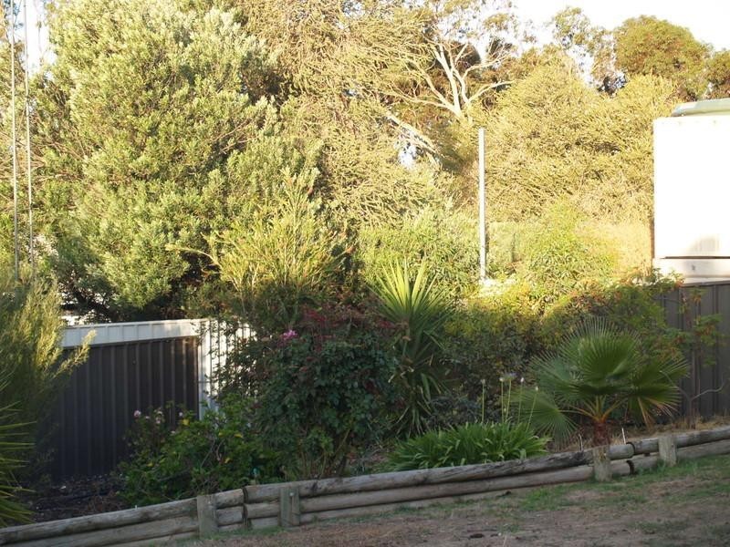 26 Marschall Street, Waikerie SA 5330