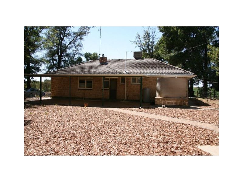 201 Thompson Road, Waikerie SA 5330