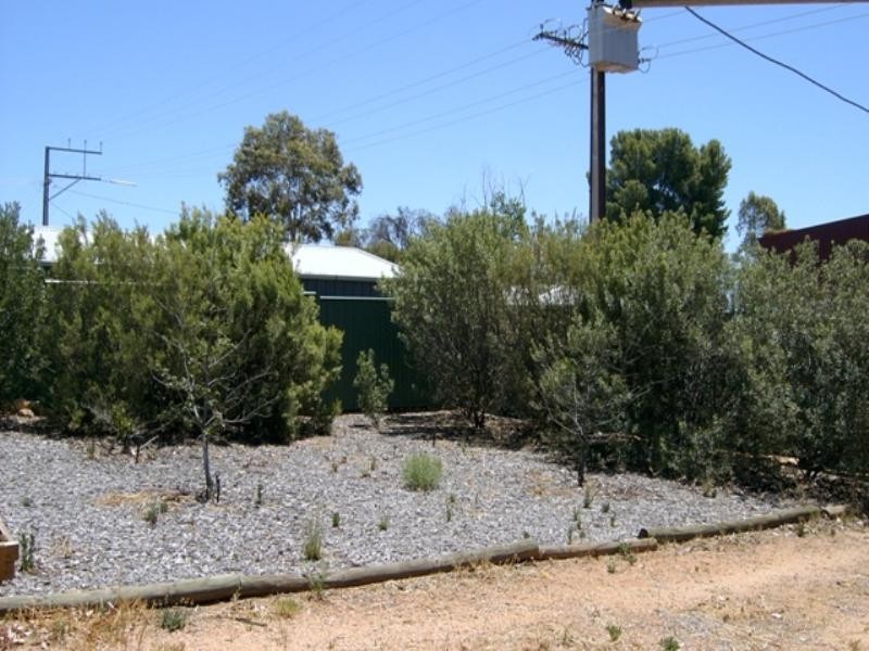 51 Zante Road, Berri SA 5343