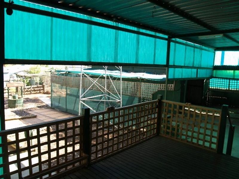 8 Matthews Street, Waikerie SA 5330